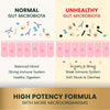 Comparison on Gut Microbiota