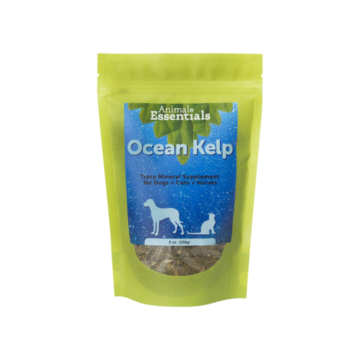 Animal Essentials Ocean Kelp Supplement for Dogs & Cats