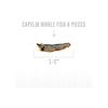 Icelandic+ Capelin Whole Fish & Pieces Dog Treats