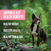 Key Health Benefits