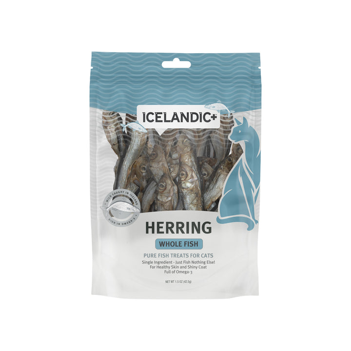 Herring Whole Fish