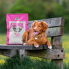 Fromm Classic Puppy Recipe Dry Dog Food