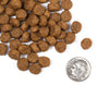 Fromm Classic Puppy Recipe Dry Dog Food