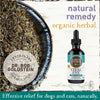 Earth Animal Organic Herbal Remedies Vital Eye Tincture for Dogs