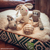 Only Natural Pet Organic Sherpa Pet Beds Lifestyle Image