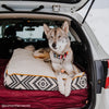 Only Natural Pet Organic Sherpa Pet Beds Lifestyle Image