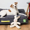 Only Natural Pet Eco-Friendly Organic Canvas Beds