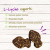 Pet Naturals of Vermont L-Lysine 60 Cat Soft Chews Infographic