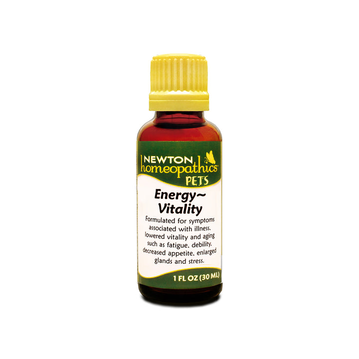 Newton Homeopathics Energy Vitality Assist