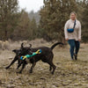 Ruffwear Pacific Loop Dog Toy Lifestyle